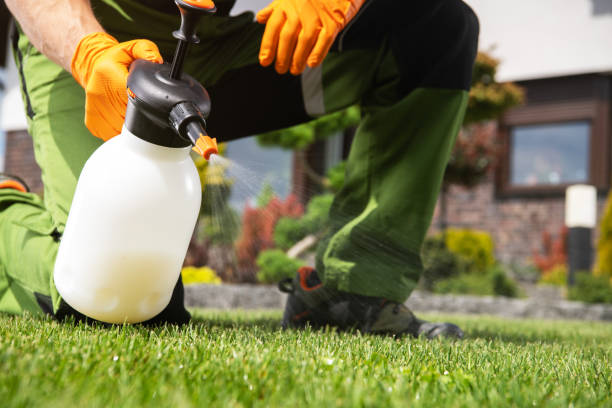 Best Mosquito Control Services  in Cheney, WA