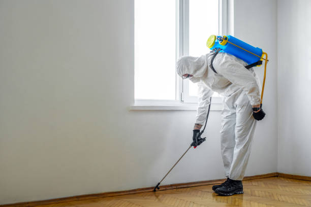 Best Flea Control Services  in Cheney, WA