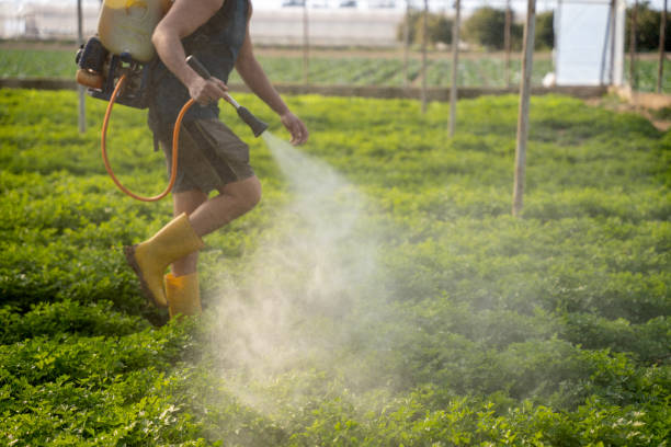 Best Commercial Pest Control Services  in Cheney, WA