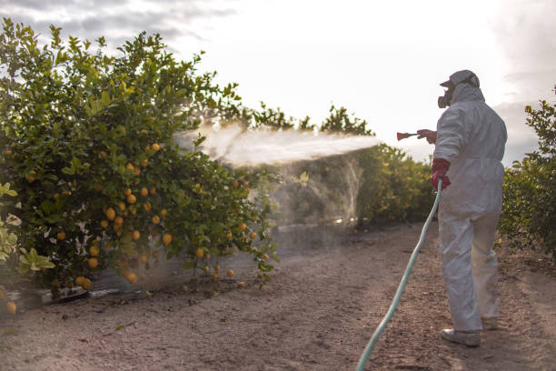 Best Pest Control Near Me  in Cheney, WA