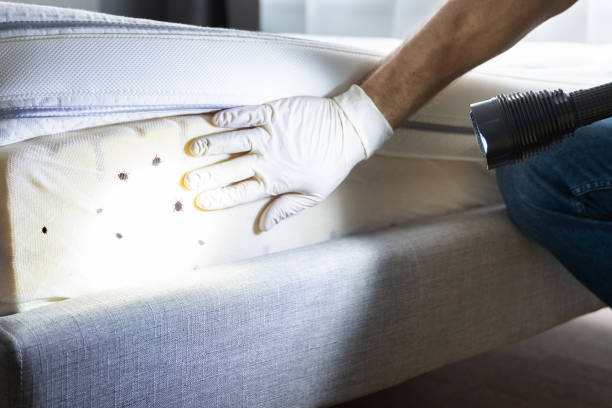 Best Best Pest Control Companies  in Cheney, WA