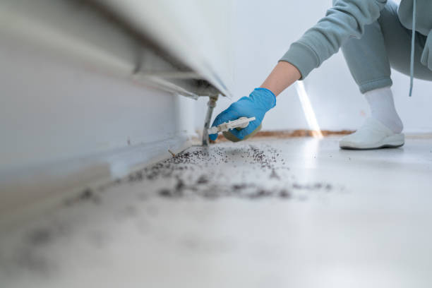 Best Cockroach Control Services  in Cheney, WA